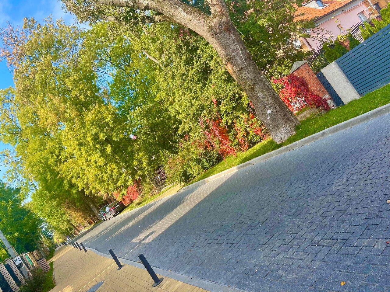 Гостевой дом Кошкин дом Зеленоградск-31