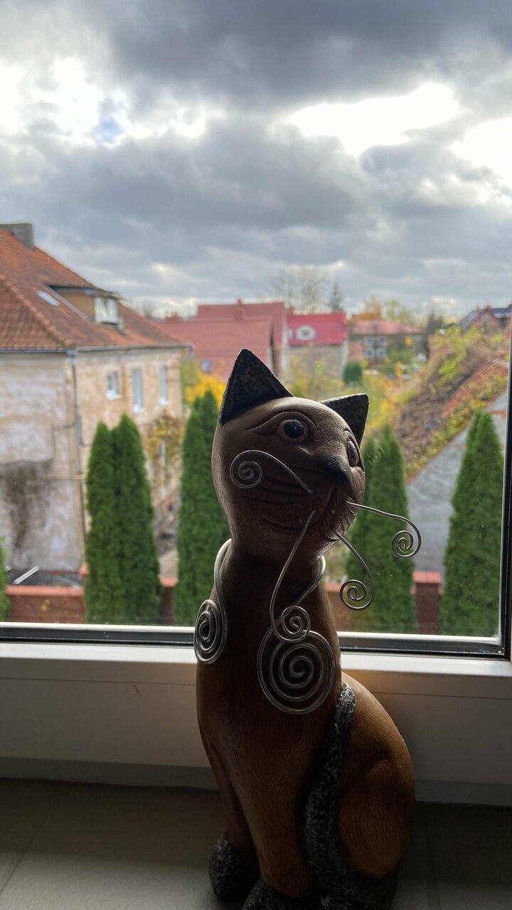 Гостевой дом Кошкин дом Зеленоградск-131