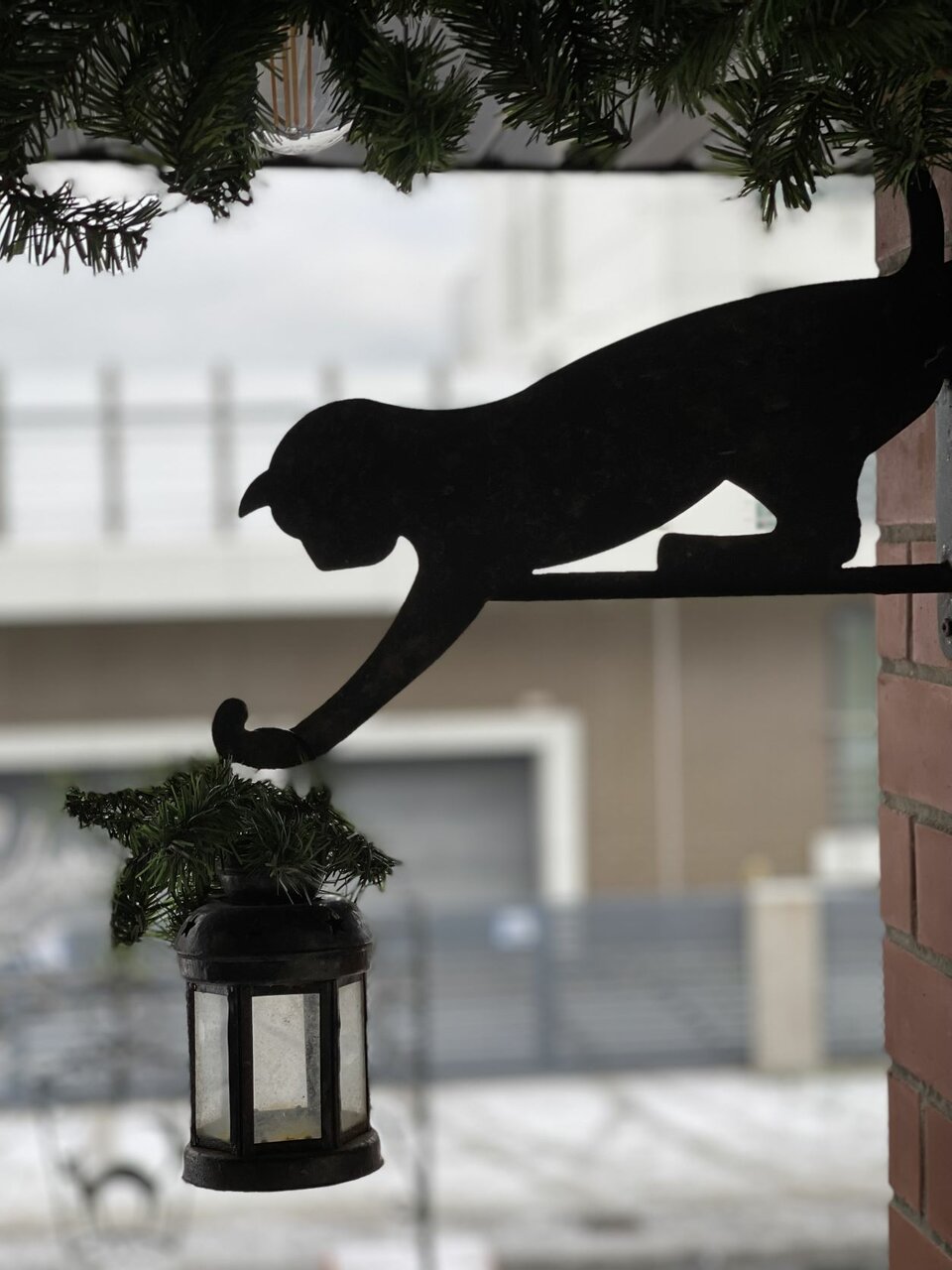 Гостевой дом Кошкин дом Зеленоградск