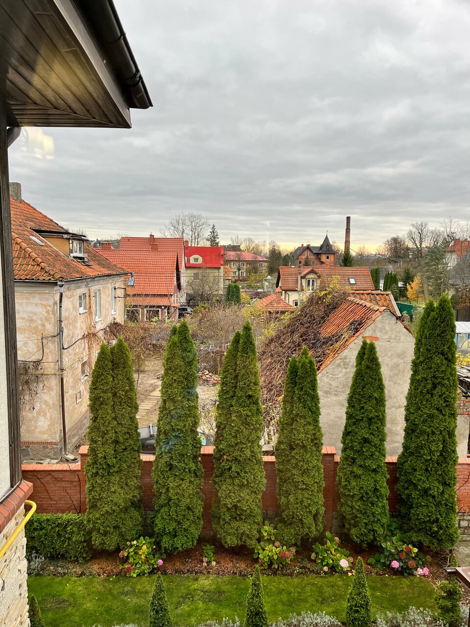 Гостевой дом Кошкин дом Зеленоградск-202