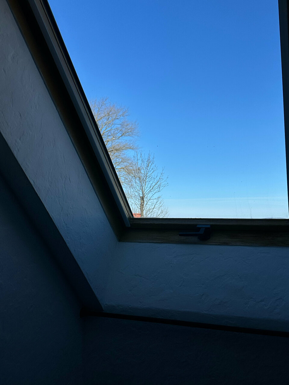 Гостевой дом Кошкин дом Зеленоградск-239