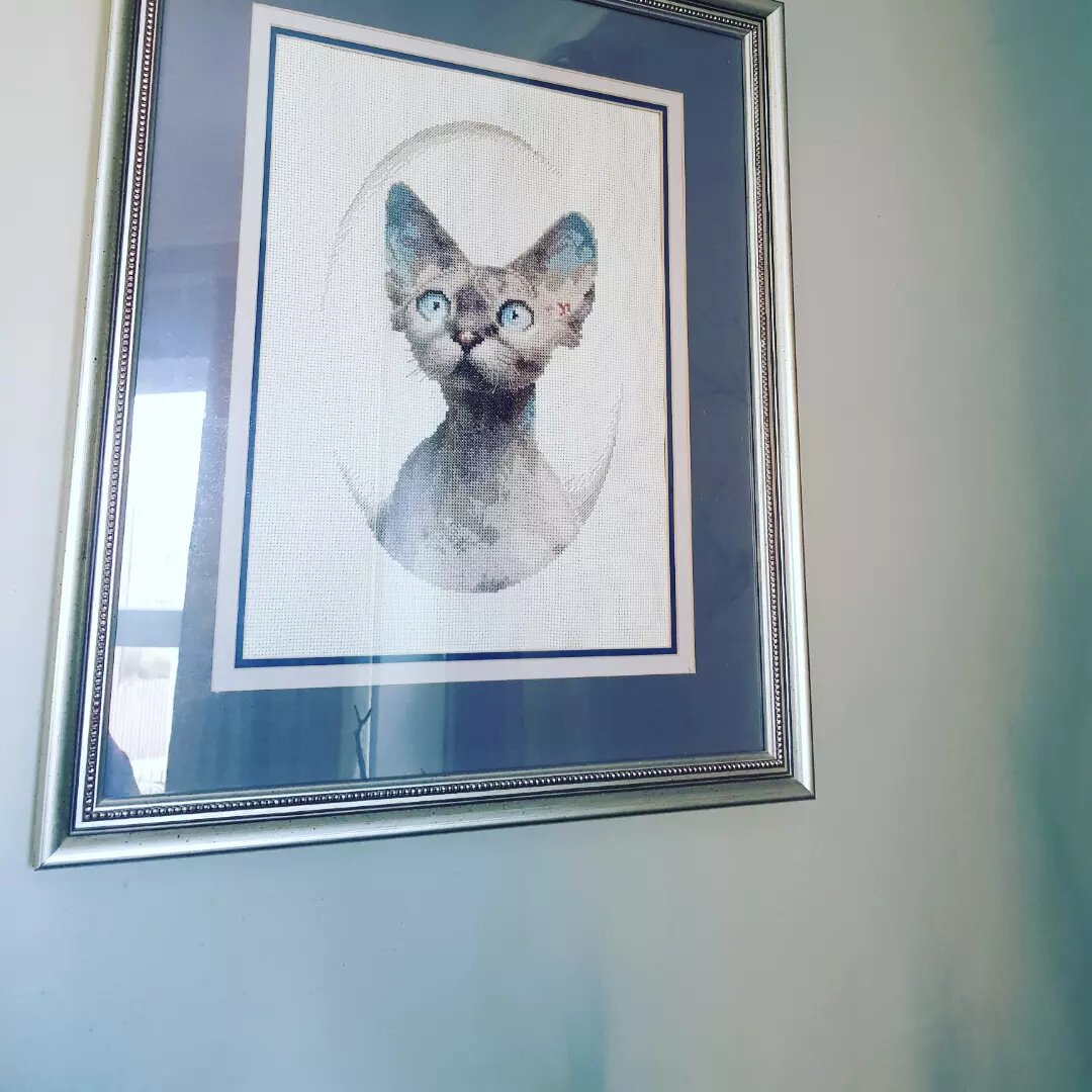 Гостевой дом Кошкин дом Зеленоградск-128