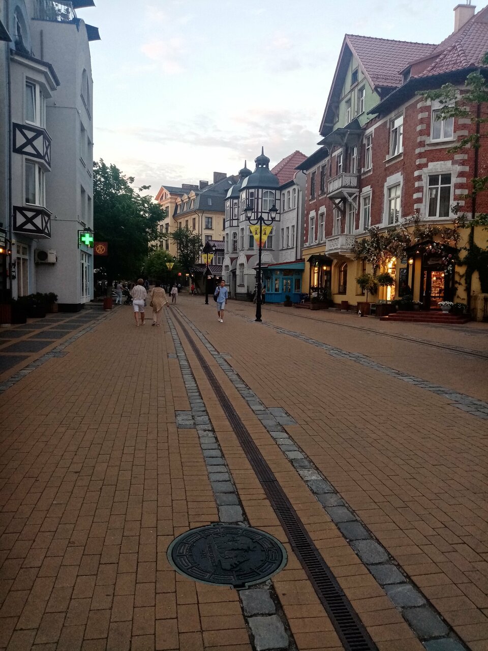 Гостевой дом Кошкин дом Зеленоградск-106