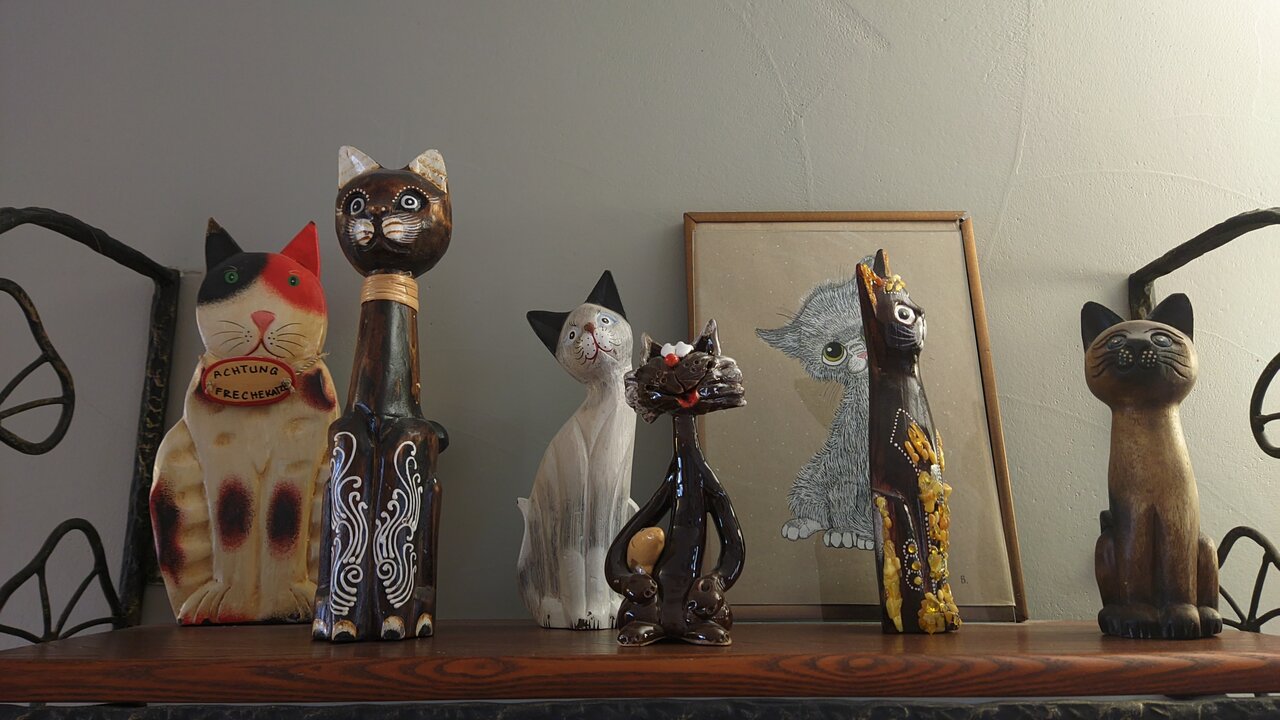 Гостевой дом Кошкин дом Зеленоградск-32