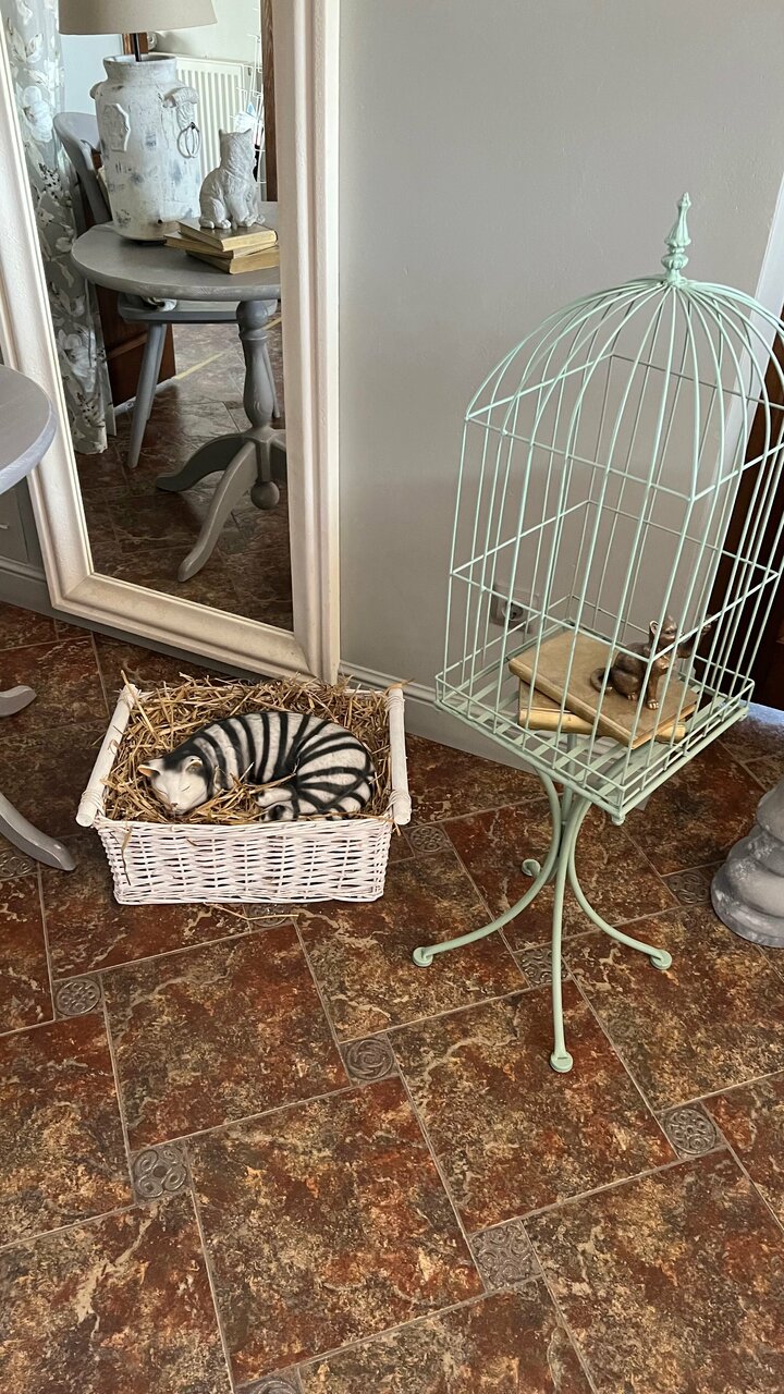 Гостевой дом Кошкин дом Зеленоградск-192