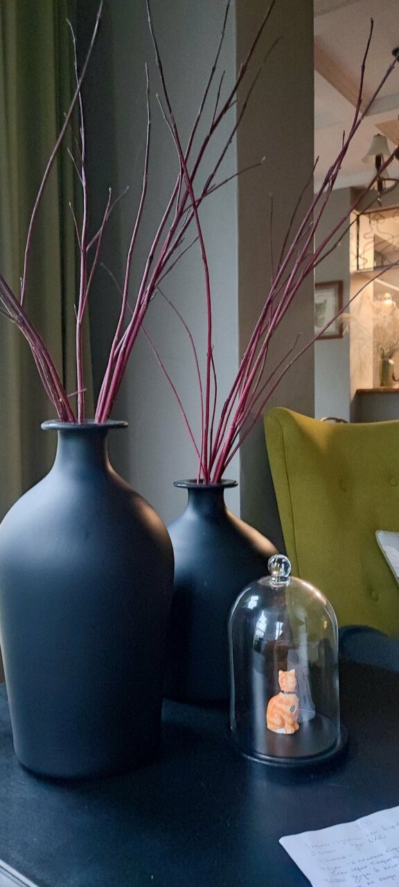 Гостевой дом Кошкин дом Зеленоградск-183