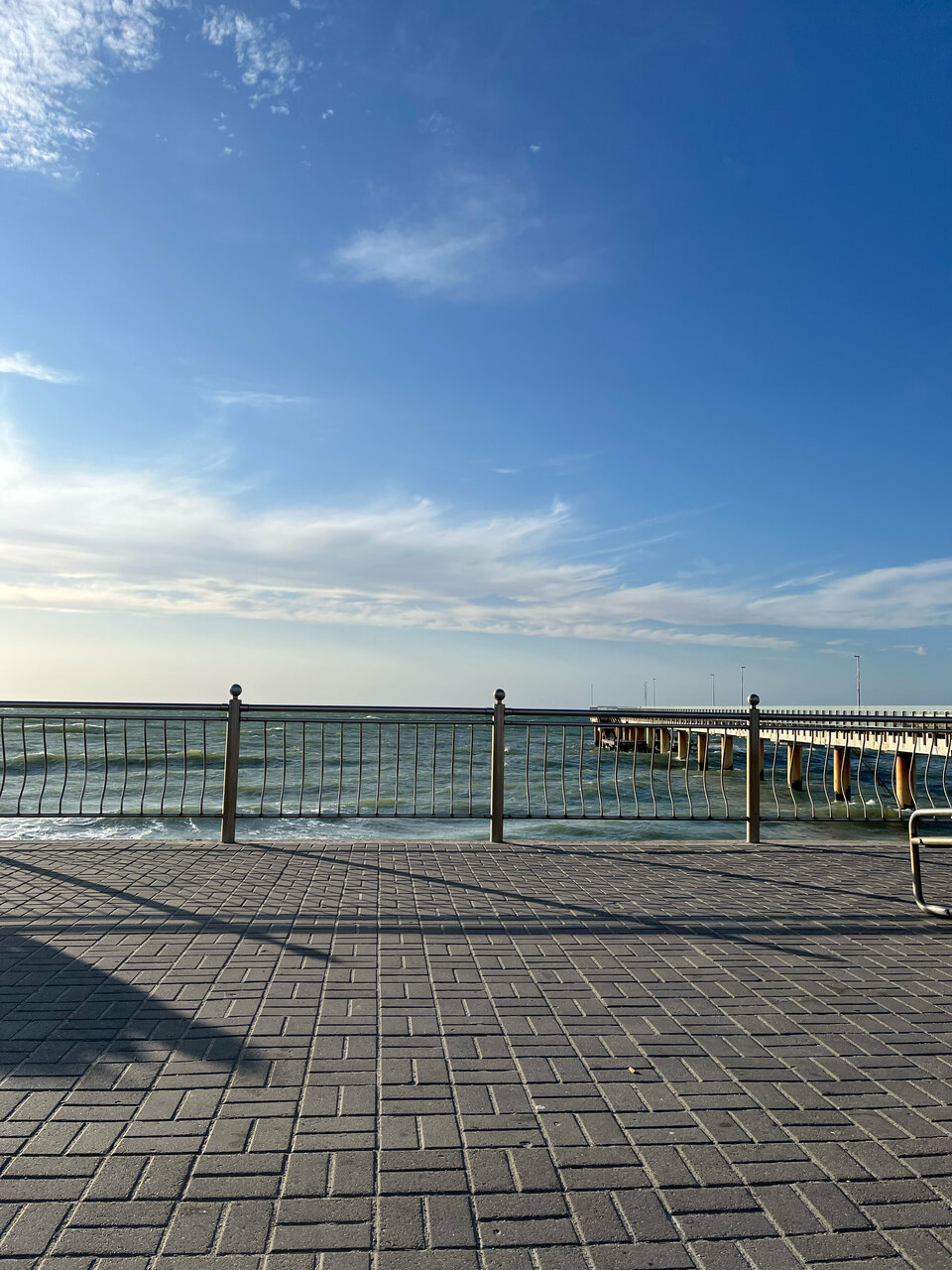 Гостевой дом Кошкин дом Зеленоградск-199