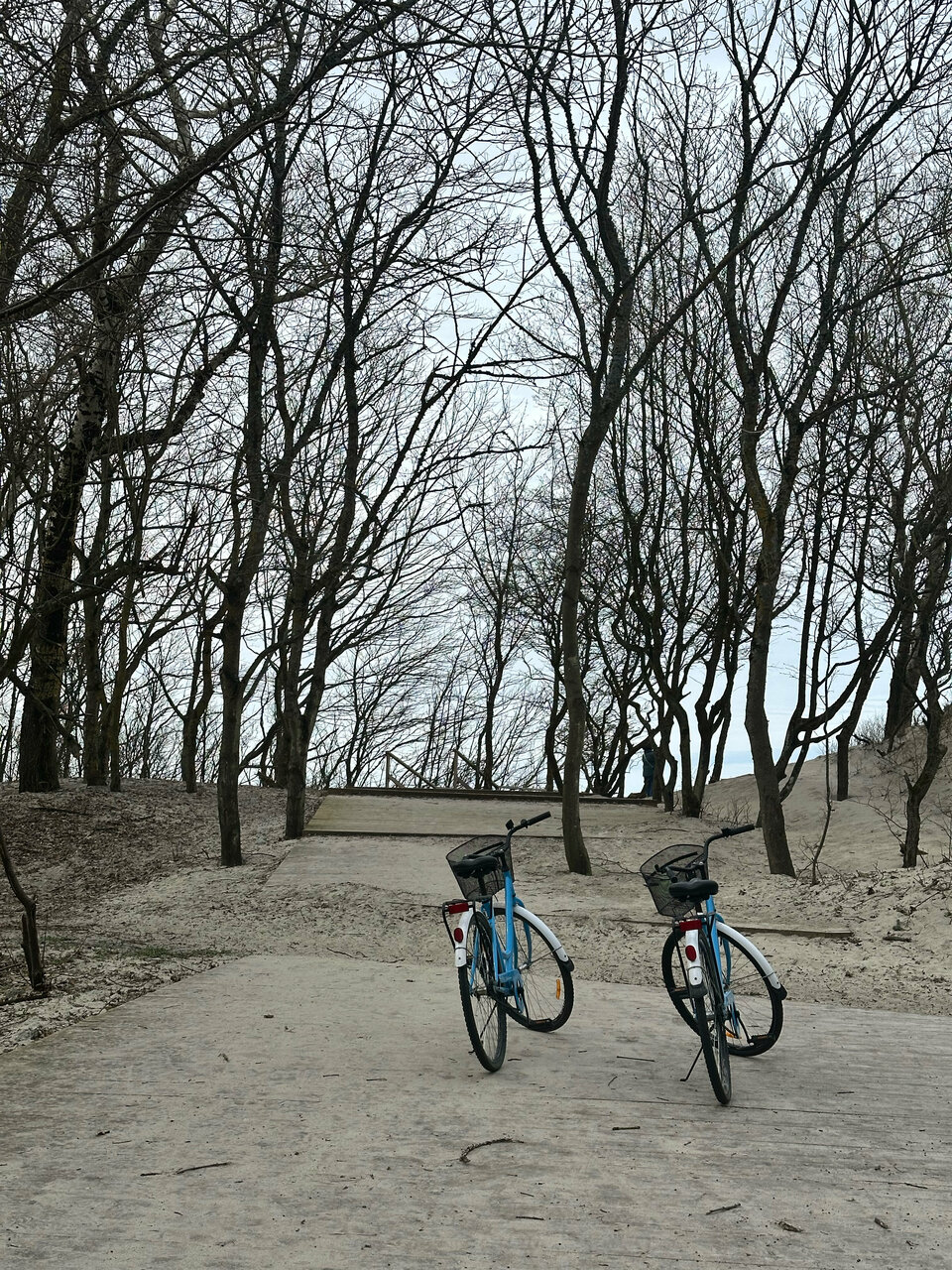 Гостевой дом Кошкин дом Зеленоградск-135