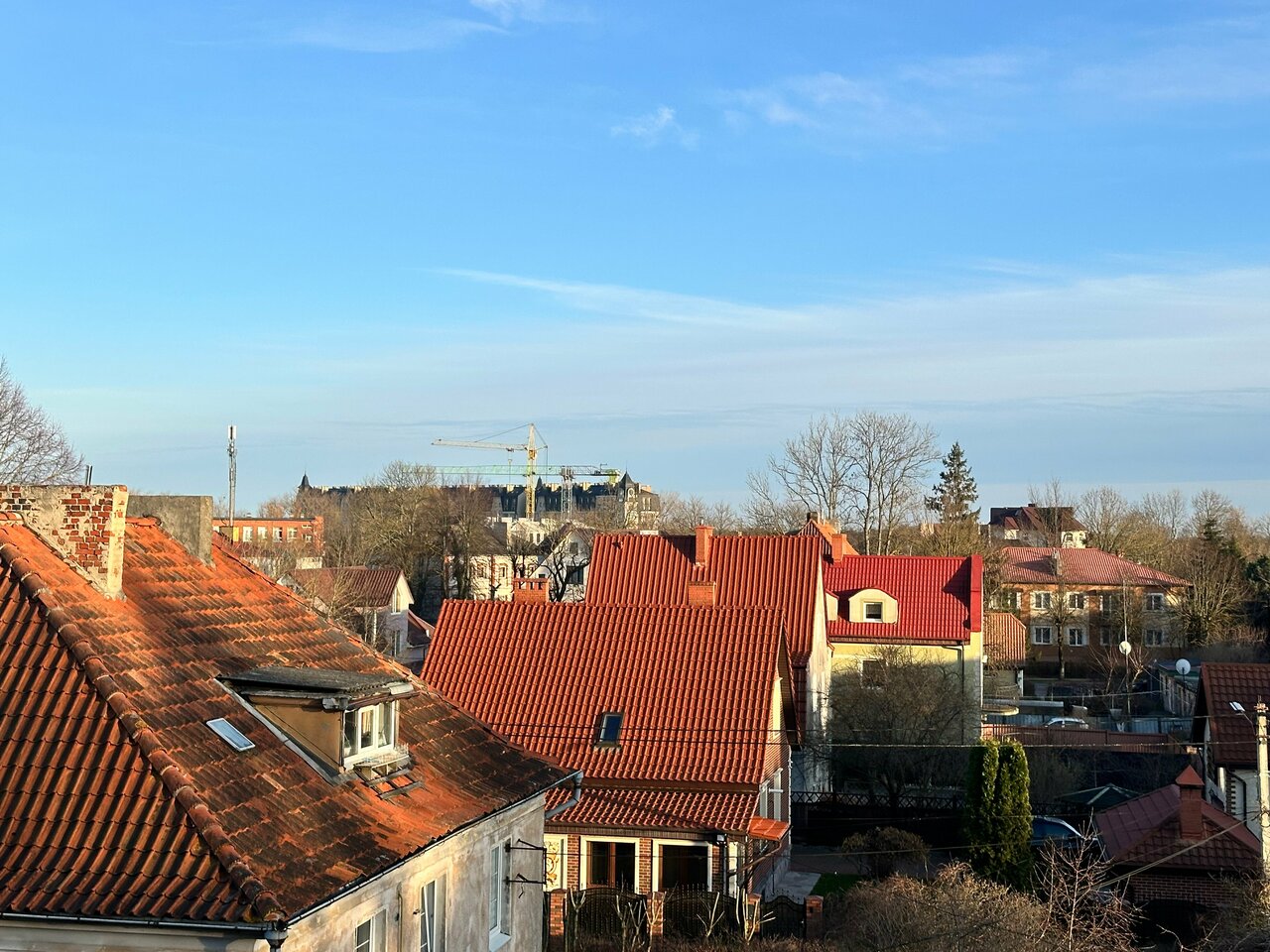 Гостевой дом Кошкин дом Зеленоградск-180