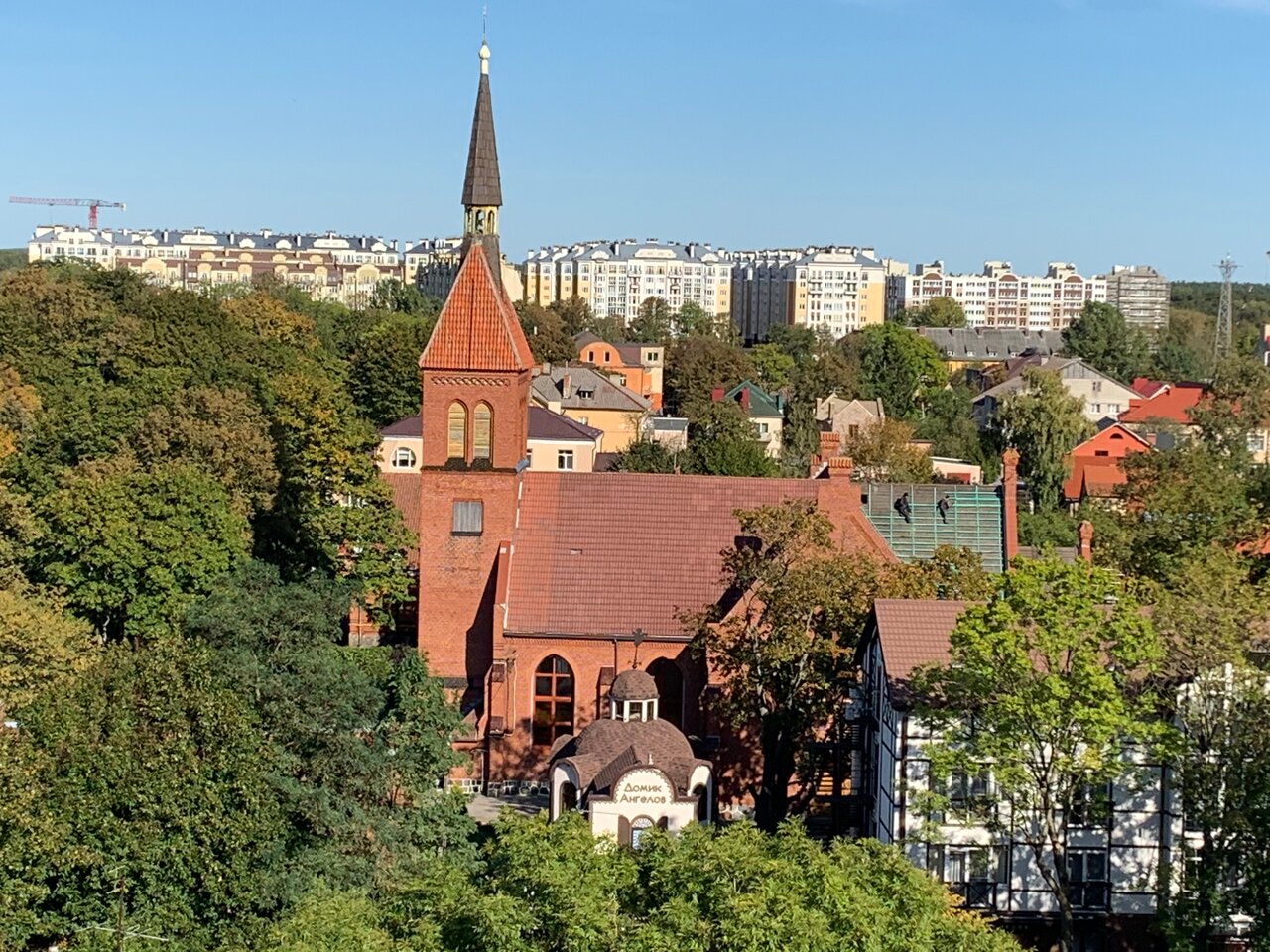 Гостевой дом Кошкин дом Зеленоградск-20