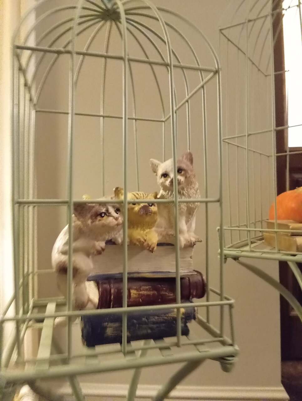 Гостевой дом Кошкин дом Зеленоградск-84