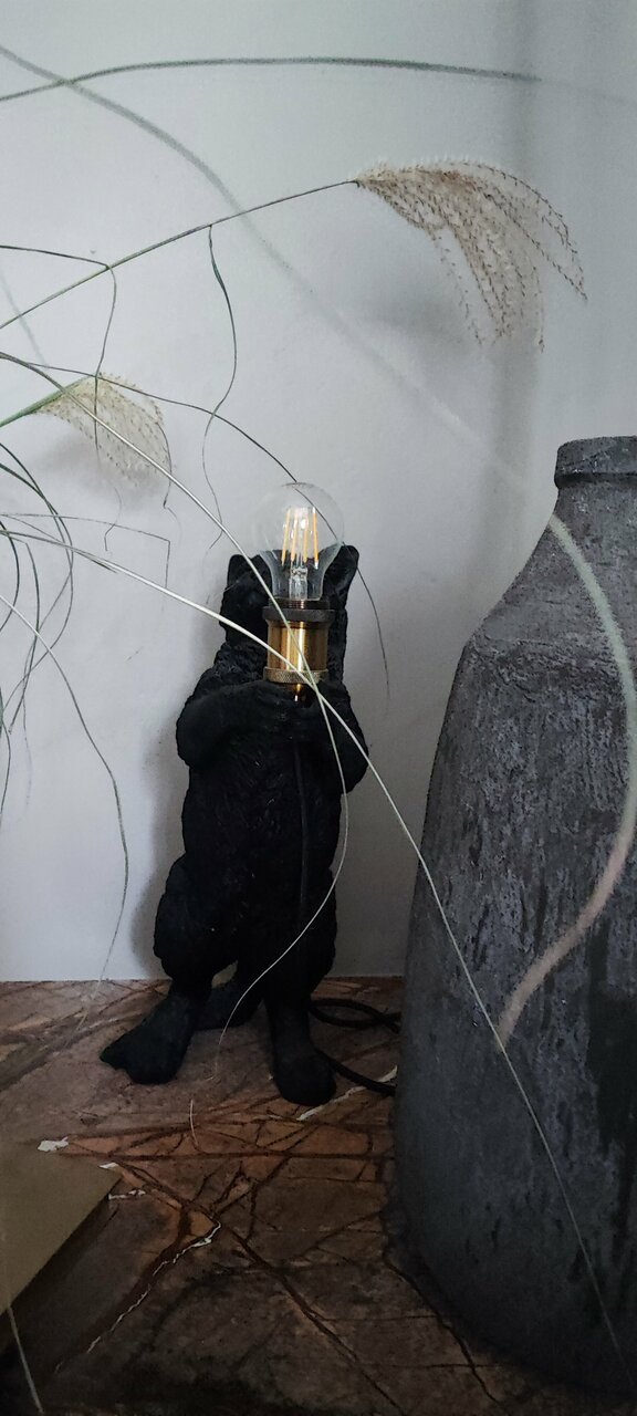 Гостевой дом Кошкин дом Зеленоградск-125