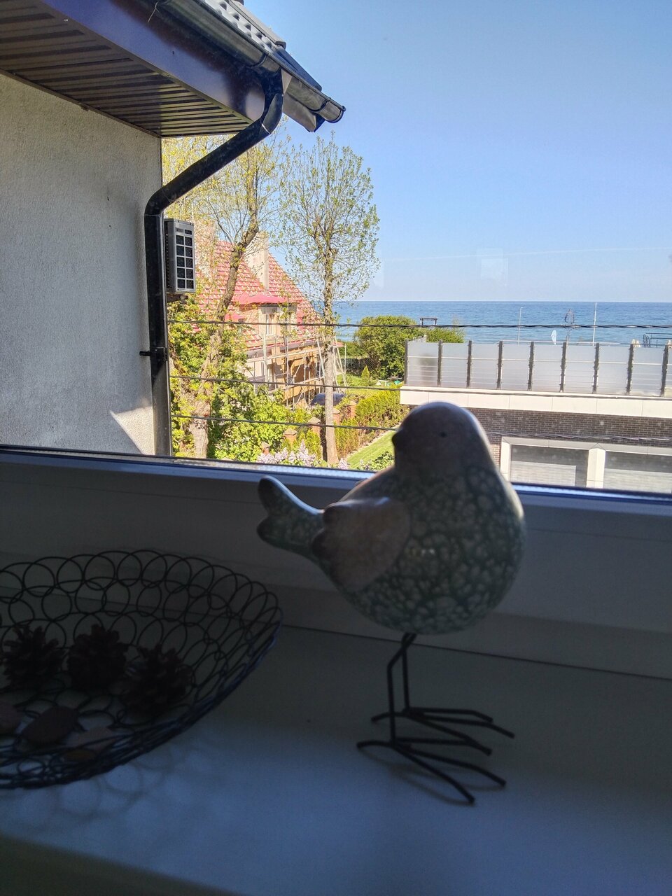 Гостевой дом Кошкин дом Зеленоградск-111