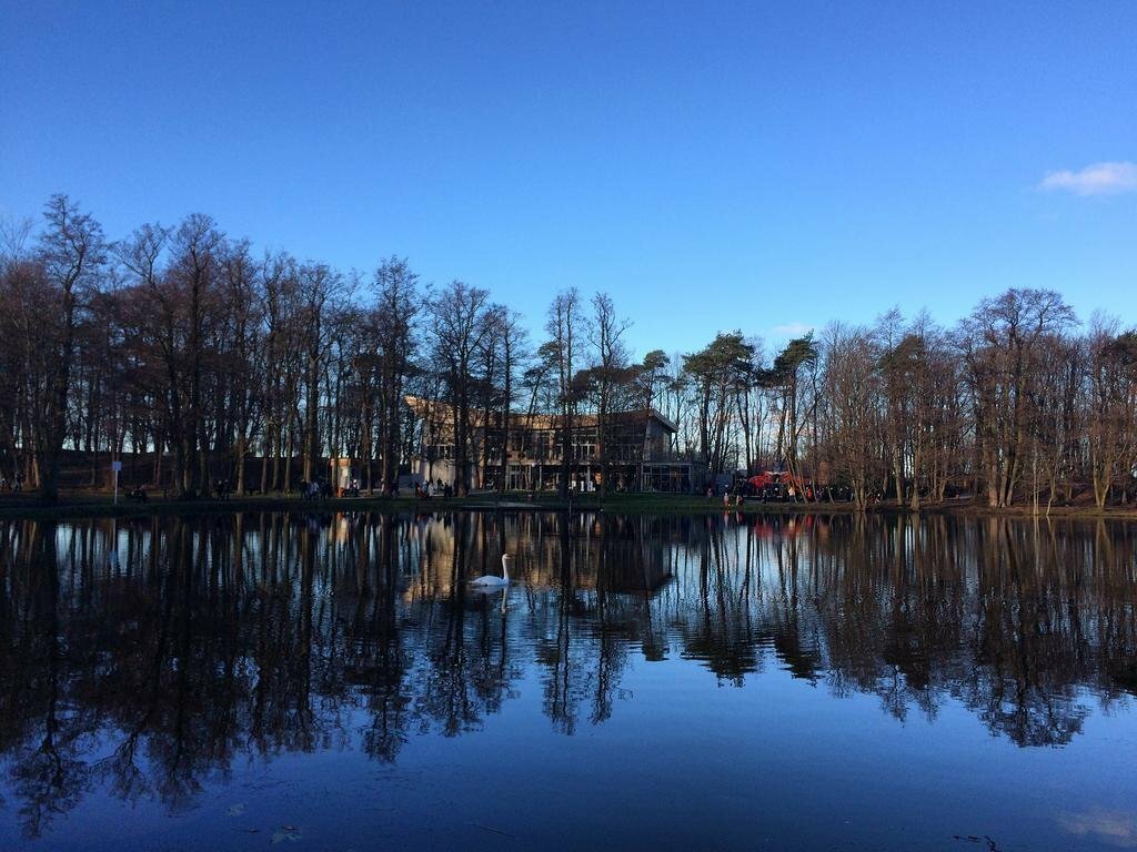 Гостевой дом Кошкин дом Зеленоградск-41