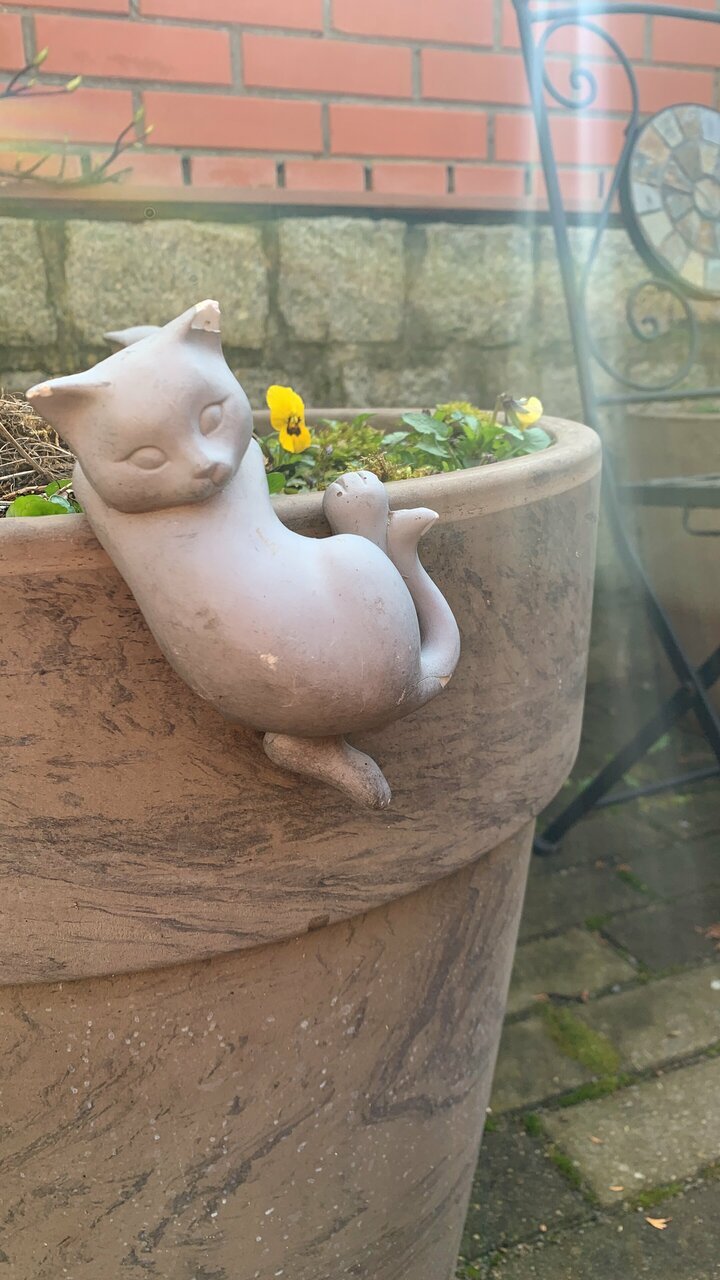 Гостевой дом Кошкин дом Зеленоградск-189