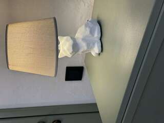 Гостевой дом Кошкин дом Зеленоградск Стандарт-3