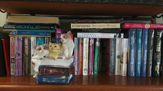 Гостевой дом Кошкин дом Зеленоградск-39