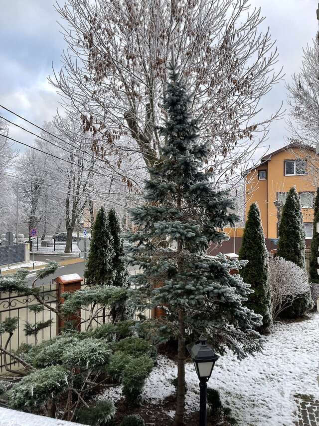 Гостевой дом Кошкин дом Зеленоградск-43