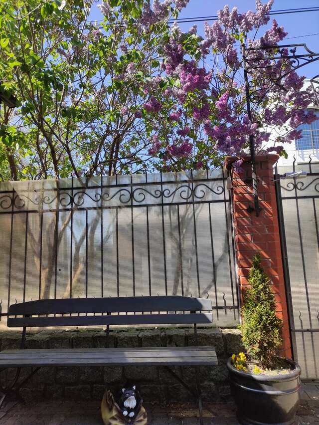 Гостевой дом Кошкин дом Зеленоградск-117