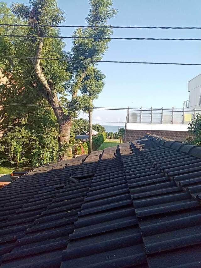 Гостевой дом Кошкин дом Зеленоградск-142