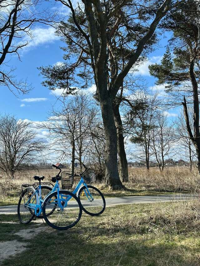Гостевой дом Кошкин дом Зеленоградск-212