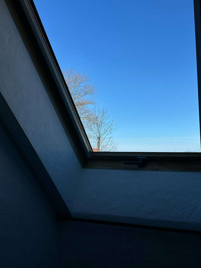 Гостевой дом Кошкин дом Зеленоградск-238