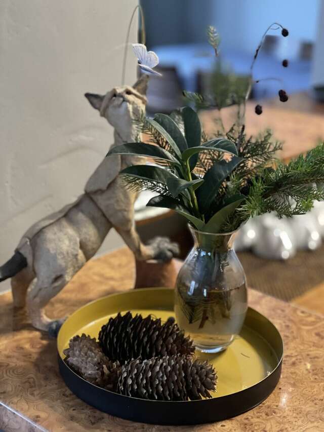 Гостевой дом Кошкин дом Зеленоградск-52