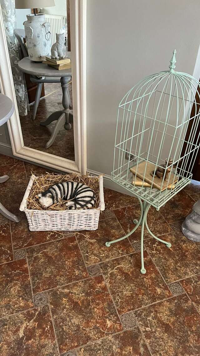 Гостевой дом Кошкин дом Зеленоградск-191