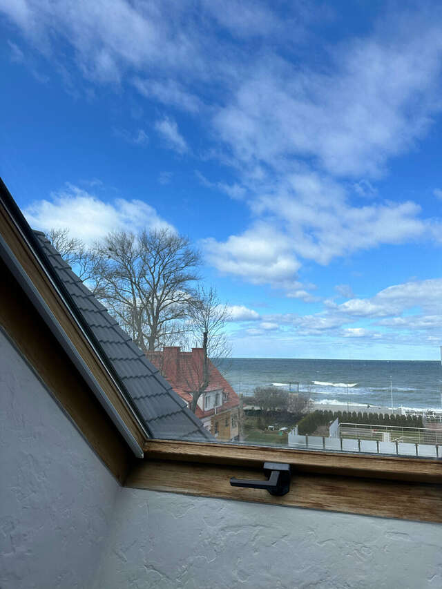 Гостевой дом Кошкин дом Зеленоградск-195