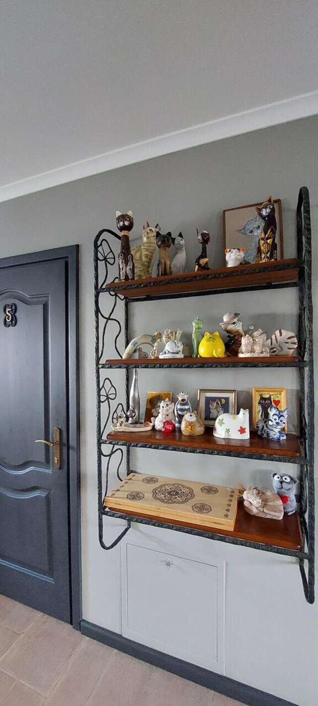 Гостевой дом Кошкин дом Зеленоградск-235