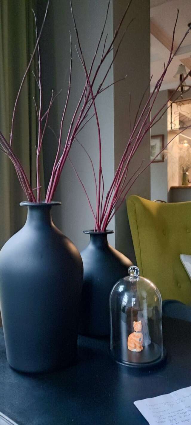 Гостевой дом Кошкин дом Зеленоградск-182