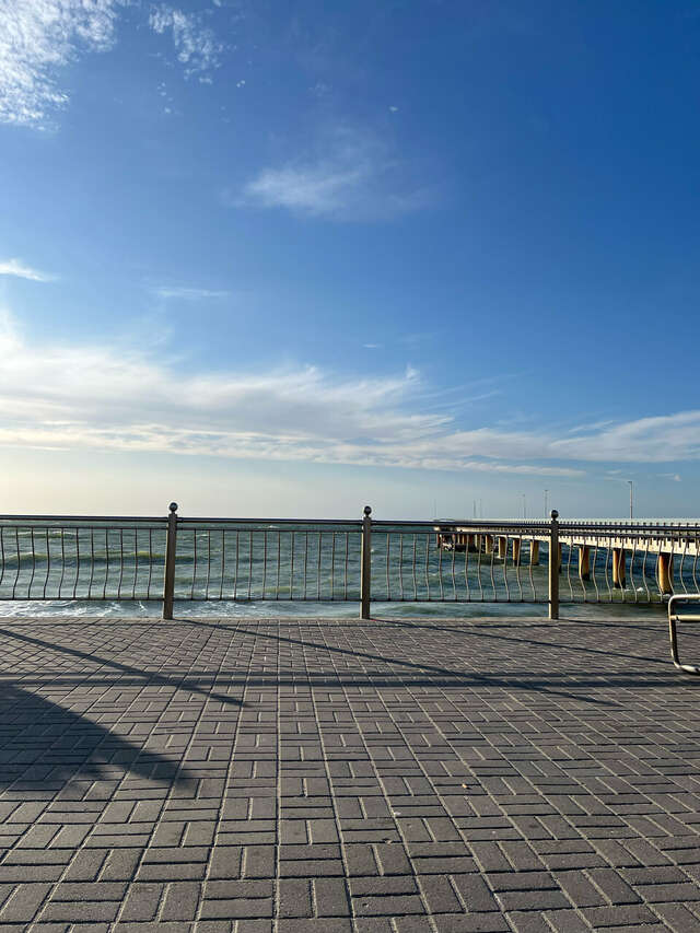 Гостевой дом Кошкин дом Зеленоградск-198