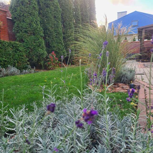 Гостевой дом Кошкин дом Зеленоградск-106