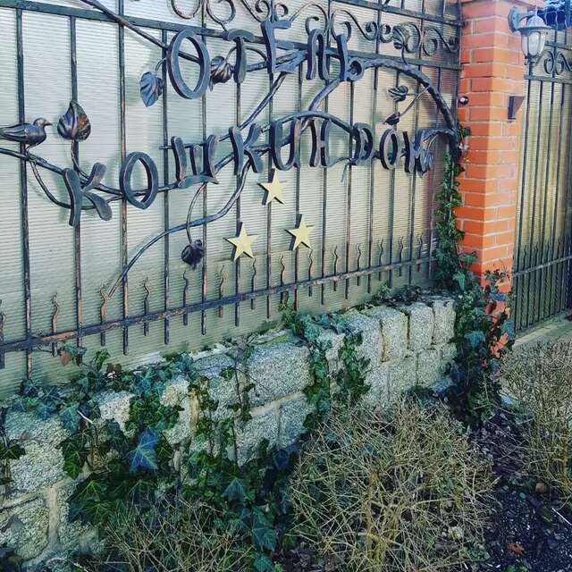 Гостевой дом Кошкин дом Зеленоградск-171