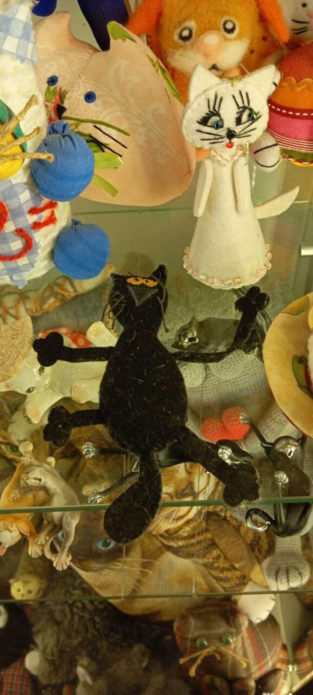 Гостевой дом Кошкин дом Зеленоградск-115