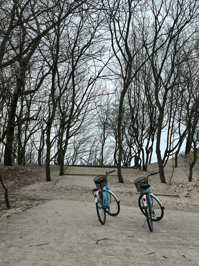 Гостевой дом Кошкин дом Зеленоградск-134