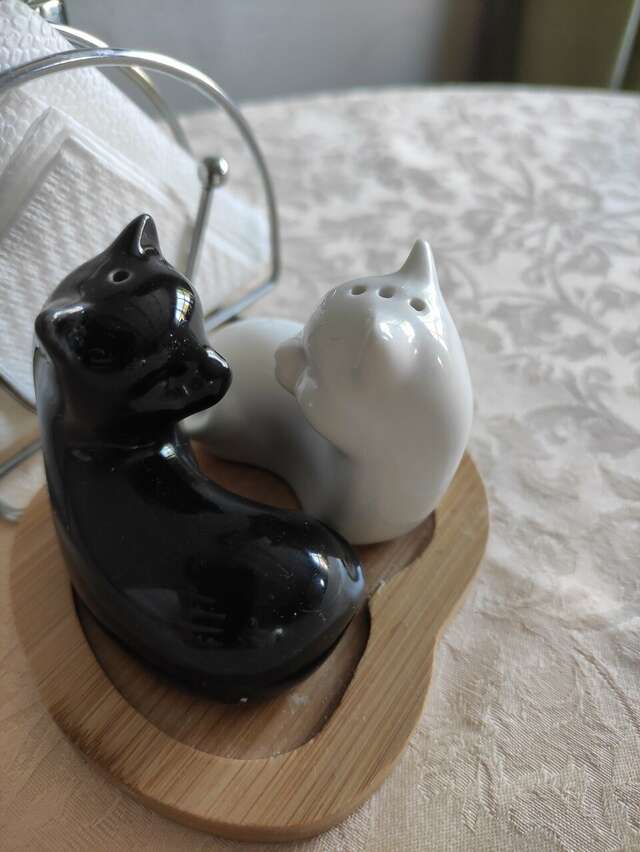 Гостевой дом Кошкин дом Зеленоградск-148