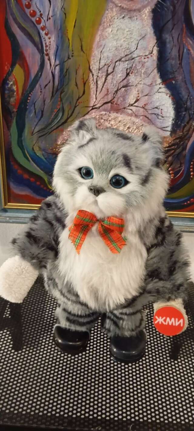 Гостевой дом Кошкин дом Зеленоградск-86