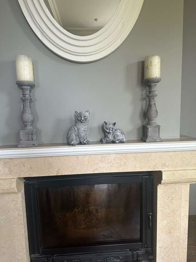 Гостевой дом Кошкин дом Зеленоградск-87