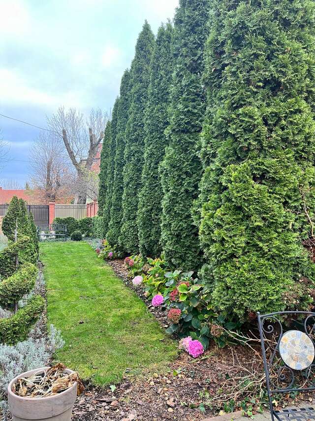 Гостевой дом Кошкин дом Зеленоградск-174