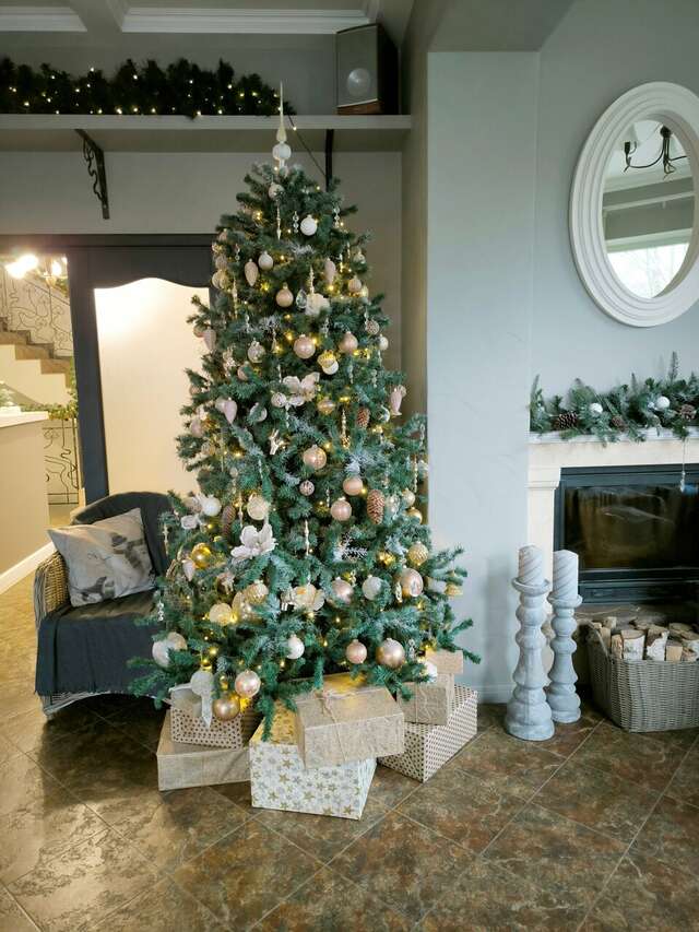 Гостевой дом Кошкин дом Зеленоградск-96