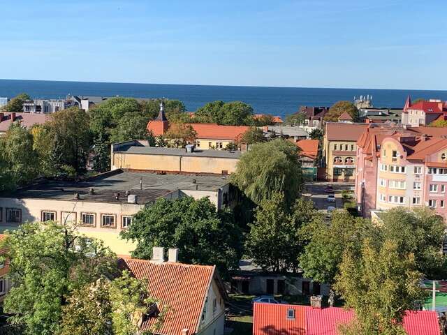 Гостевой дом Кошкин дом Зеленоградск-18