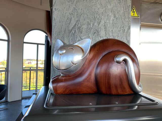 Гостевой дом Кошкин дом Зеленоградск-21