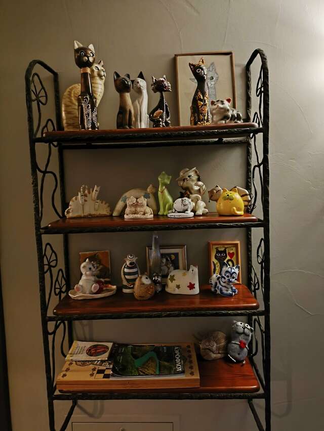 Гостевой дом Кошкин дом Зеленоградск-132