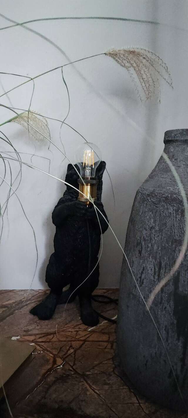 Гостевой дом Кошкин дом Зеленоградск-124