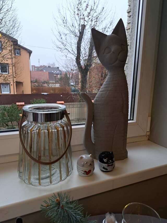 Гостевой дом Кошкин дом Зеленоградск-138