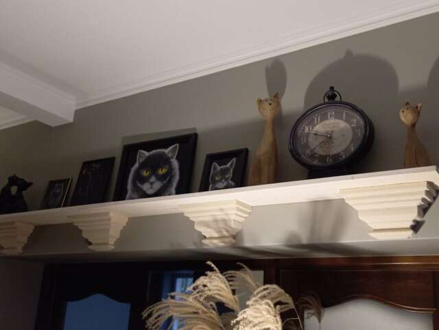 Гостевой дом Кошкин дом Зеленоградск-160