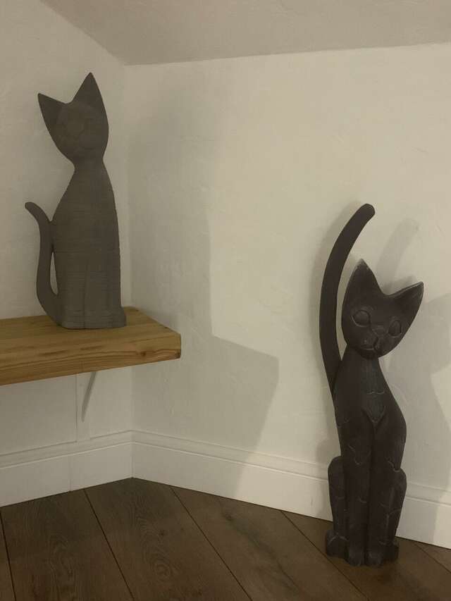 Гостевой дом Кошкин дом Зеленоградск-177