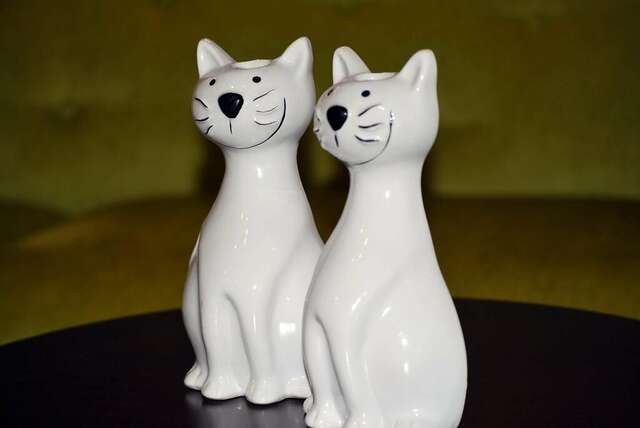 Гостевой дом Кошкин дом Зеленоградск-58