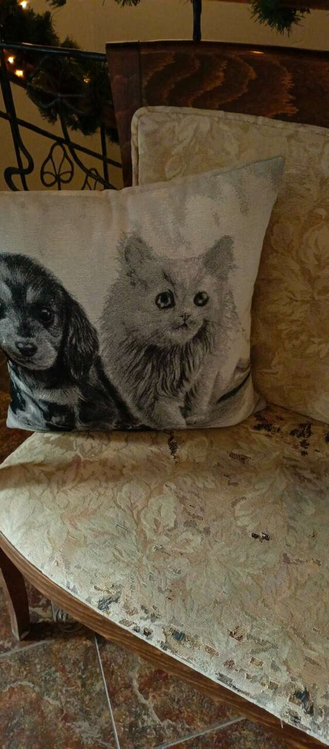 Гостевой дом Кошкин дом Зеленоградск-90